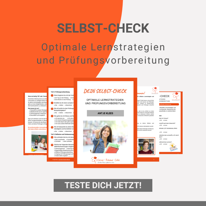 Teste dich wie gut deine aktuellen Lernstrategien sind